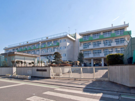 ӊ ywZz܎sŌwZF1053u