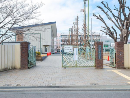 ӊ ywZz˓csV]wZF960u