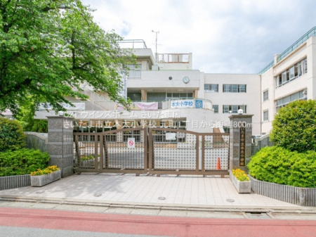 ӊ ywZz܎s{wZF800u