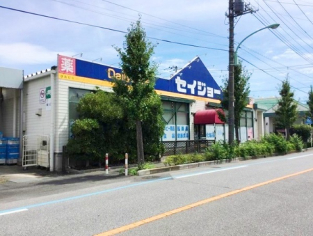 ���ӊ� �y�h���b�O�X�g�A�z�f�C���[�P�A�Z�C�W���[�Œˌ��X�F389�u