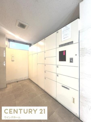 ̑p Oołו󂯎zBOXI
ĔzB̔ς킵ŉI