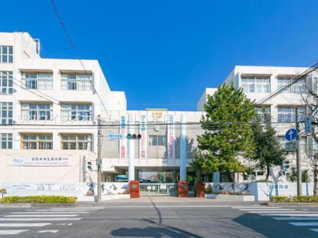 ӊ ywZzsؒwZF950u