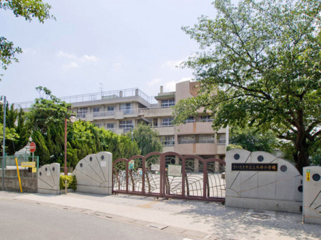 ӊ ywZz܎s؍菬wZF480u