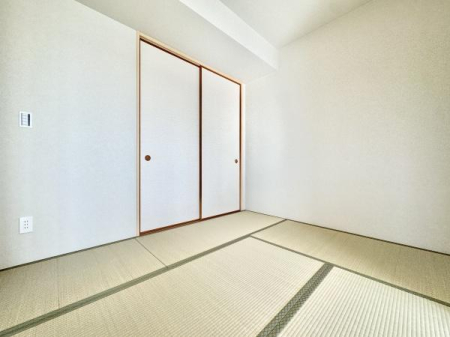 a rOƈ̂Ŏg鑱Ԃ̘áAcEQEqԂȂǑprɊB̉肪Sn悭A[ēgɕ֗B