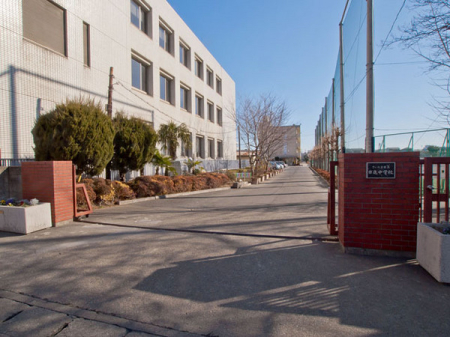 ӊ ywZz܎siwZF1300u