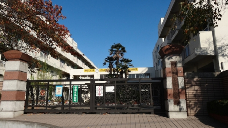 ӊ ywZz܎sewZF450u