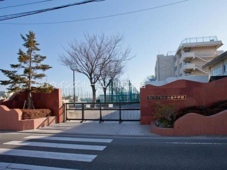 ӊ ywZz܎sJwZF850u