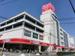 ӊ yX[p[zOlympic[Ԏu≺XF190u