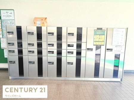 ̑p Oołו󂯎zBOXI
ĔzB̔ς킵ŉI