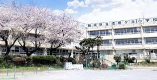 ӊ ywZz旧PuwZF500u