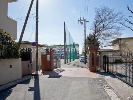 ӊ ywZz܎swZF1606u