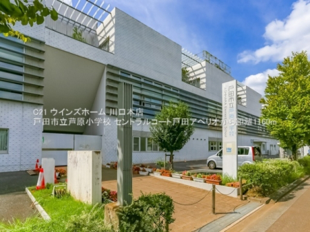 ӊ ywZz˓cswZF1160u