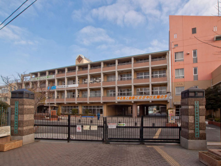 ӊ ywZz܎sJꒆwZF704u