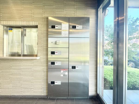 ̑p Oołו󂯎zBOXI
ĔzB̔ς킵ŉI