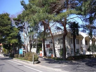 ӊ ya@z@ma@F2046u