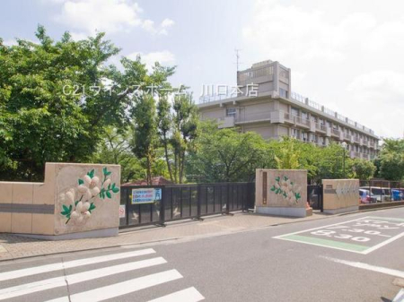 ӊ ywZz܎sPOwZF740u