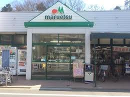 ӊ yX[p[z}GccnXF110u