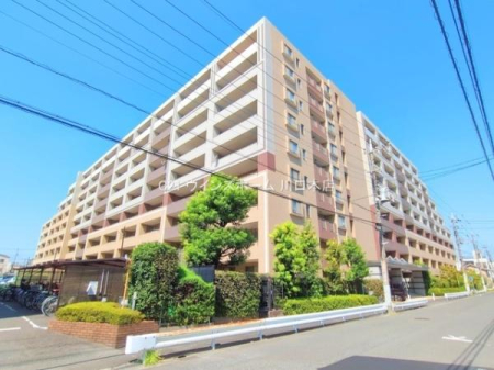 nOώʐ^ JRuYavwk16I2HpŒʋ΁EʊwEo֗łIVKtH[YȎI