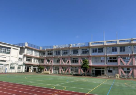 ӊ ywZzcJ旧wZF272u