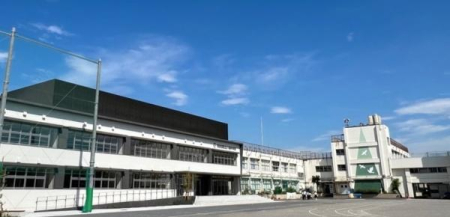 ӊ ywZzcJ旧wZF1096u