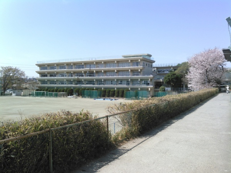 ӊ ywZz܎s{wZF640u