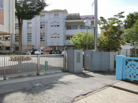 ӊ ywZz܎s^쓌wZF1300u