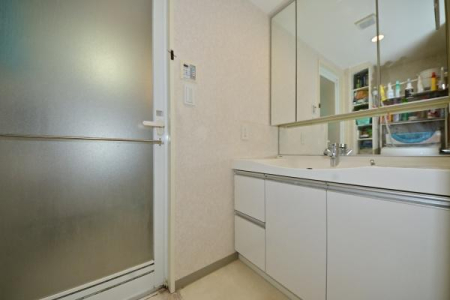 ���ʑ�E���ʏ� �g������̗ǂ��O�ʋ��^�̐��ʉ��ϑ�B���̌��͎��[�ɂȂ��Ă���̂ōׁX�������̂����[�ł��X�b�L���Ƃ������ʉ��ɁB���ʃ{�E���̗��T�C�h�ɂ͍L�߂̃h���C�G���A������̂ŐΌ��≻�ϕi�Ȃǂ�u���Ă����܂��I