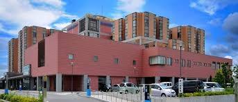 ���ӊ� �y�h���b�O�X�g�A�z�h���b�O�X�g�A�Z�L���L�X�F364�u