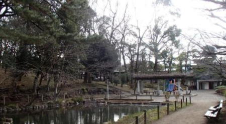 ���ӊ� �y�����z�󗈌����F1165�u