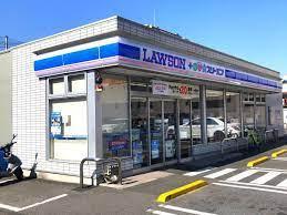 ���ӊ� �y�R���r�j�z���[�\���E�X���[�G�t��������l���ړX�F317�u