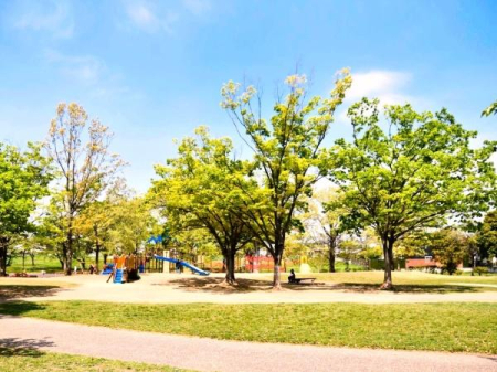 ���ӊ� �y�����z��Ώ隬�����F240�u