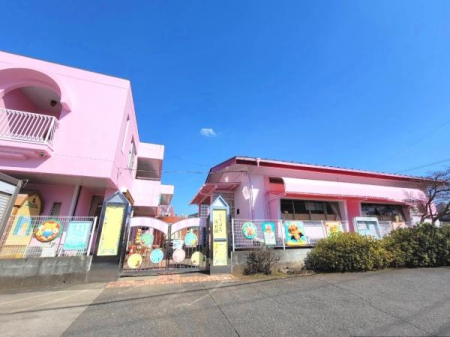 ���ӊ� �y�c�t���E�ۈ牀�z�����΂ȕۈ牀�F1000�u