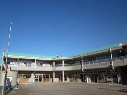 ���ӊ� �y�c�t���E�ۈ牀�z�J�g���b�N�݂ǂ�c�t���F490�u