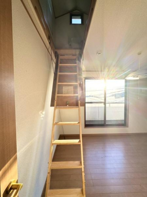 ���̑����� -