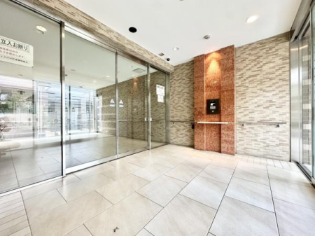 �G���g�����X �`�}���V�����G���g�����X�̗l�q�`