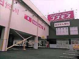 ���ӊ� �y�h���b�O�X�g�A�z�f�B�X�J�E���g�h���b�O�R�X���X�^��X�F663�u