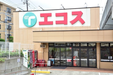 ���ӊ� �y�X�[�p�[�z�G�R�X�^���J�X�F449�u