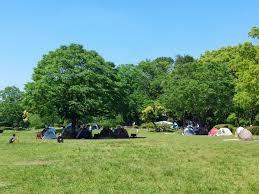 ���ӊ� �y�����z����ێR�����F790�u