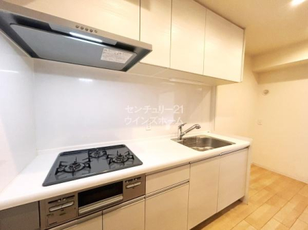 �L�b�`�� �L�b�`�������͈��S�ł���������������y�ɗ��p�ł���򐅊������I���ł��L���C�Ȃ����𗘗p�ł���̂ł��т������������������ł��B�V�����[�����Ȃ̂ŃV���N�̉�����T�T���Ɛ􂢗����Ă�����ꃉ�N���N�I