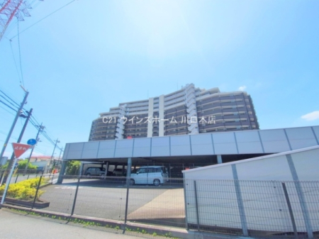 ���̑����n -