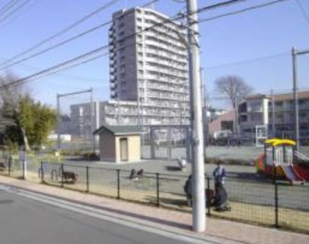 ���ӊ� �y�����z��Ύ~�Z���ڂӂꂠ�������F800�u