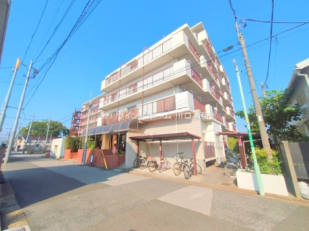 ���̑����n -