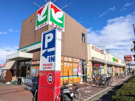 ���ӊ� �y�X�[�p�[�z���[�N�}�[�g����X�F450�u