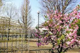 ���ӊ� �y�����z���n�����F210�u