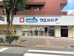 ���ӊ� �y�h���b�O�X�g�A�z�E�G���V�A�r�ܐ��X�F300�u