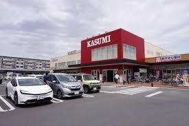 ���ӊ� �y�X�[�p�[�z�J�X�~�t�[�h�X�N�G�A�t���������X�F1300�u