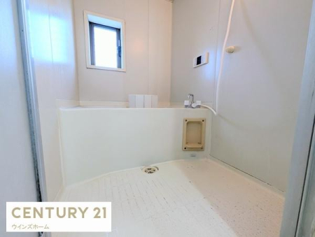 ���� ���t�������Ŋ��C�ǍD�I�L�X�Ƃ��������Ƃ������Z�����o�X�^�u���A�����̔�������Ă���܂��B