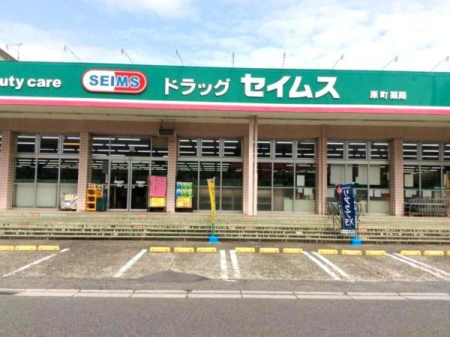 ���ӊ� �y�h���b�O�X�g�A�z�h���b�O�Z�C���X�����X�F600�u