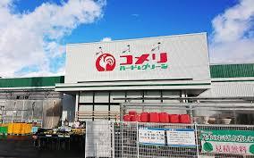 ���ӊ� �y�z�[���Z���^�[�z�R�����n�[�h���O���[���������o�J�X�F1875�u