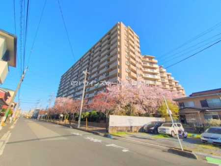 ���̑����n -